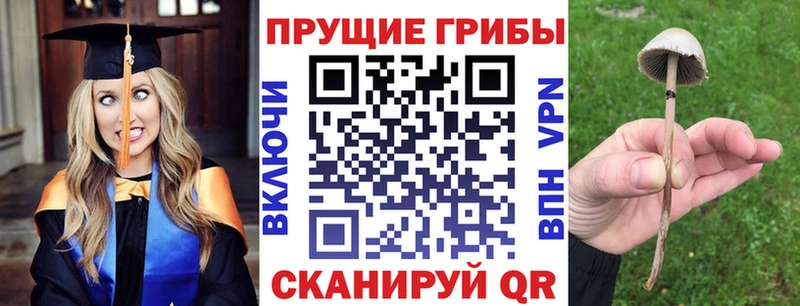Псилоцибиновые грибы MAGIC MUSHROOMS MEGA ссылки Азнакаево
