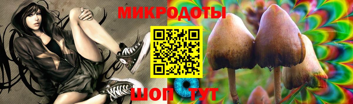 Псилоцибиновые грибы MAGIC MUSHROOMS Азнакаево